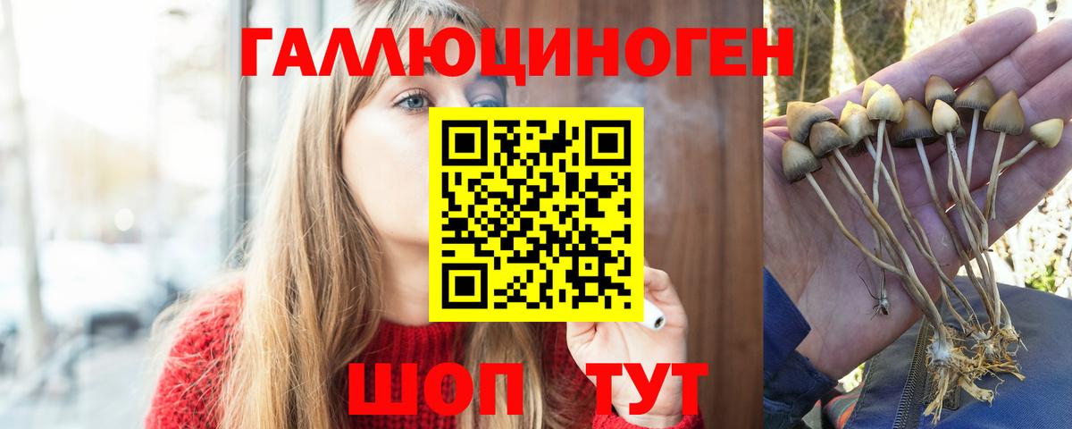 как найти наркотики  Вход с VPN  Елабуга  Галлюциногенные грибы GOLDEN TEACHER 