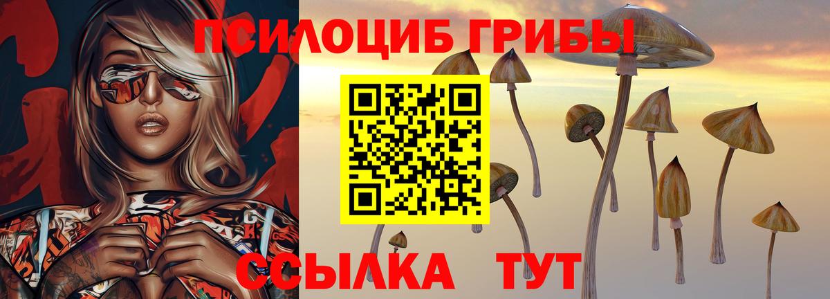 Галлюциногенные грибы мицелий Елабуга